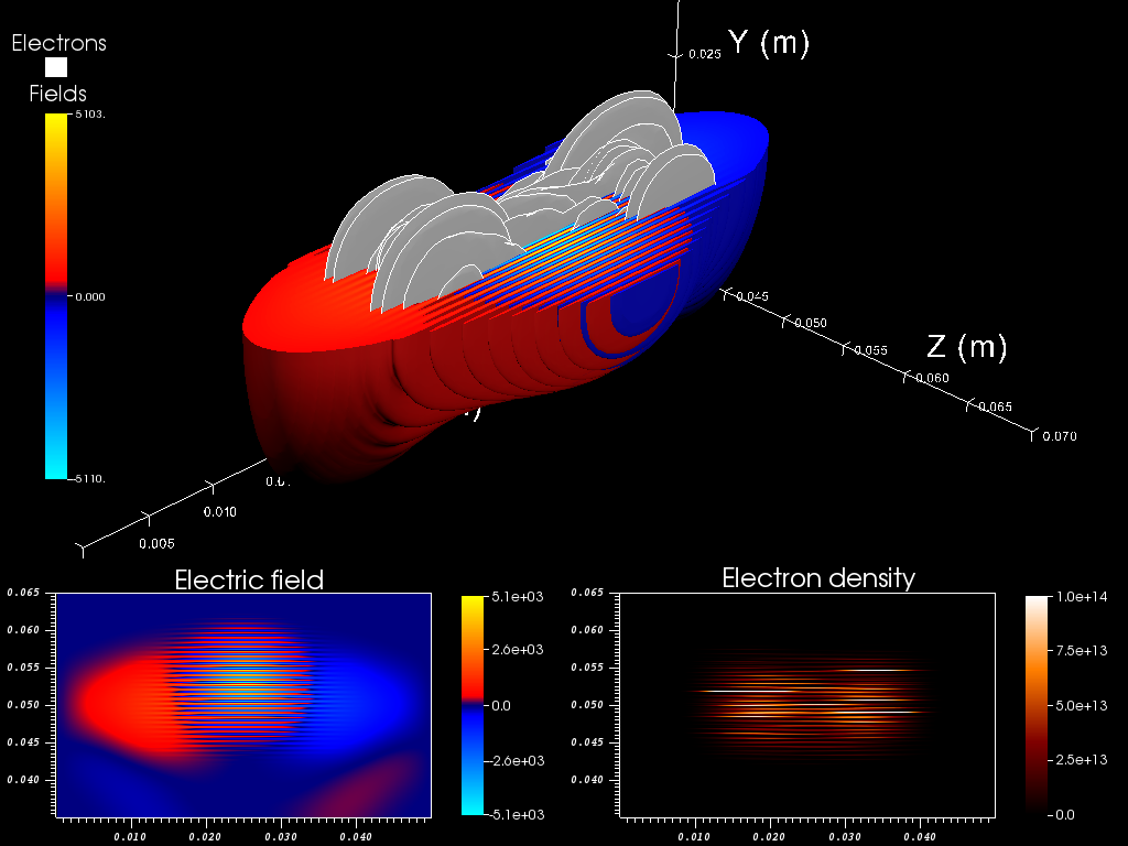 Bunching in a free electron laser